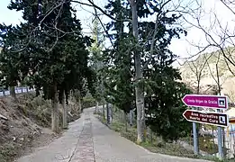 Bajada a la Ermita de la Virgen de Gracia (Castielfabib, Valencia), desde la CV-479 (2018).