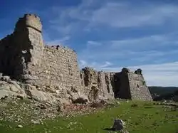 Castillo de Juan Manrique de Lara