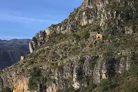 Castillo de Tabernes