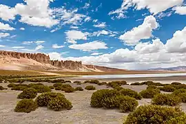 Catedrales frente al salar.