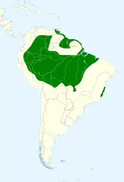 Distribución geográfica del carpintero amarillo.