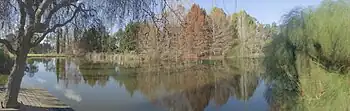 Lago del Cementerio los Fresnos