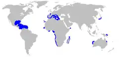 Distribución geogràfica del quelvacho (en azul).