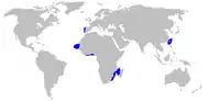 Range of lowfin gulper shark (in blue)