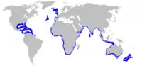 Distribución geográfica (en azul).
