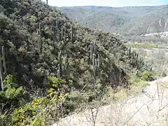 Barranca de Metzquititlán al este del estado.