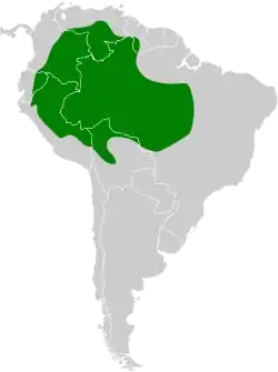 Distribución geográfica del paragüero ornado.