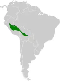 Distribución geográfica del saltarín coliancho.