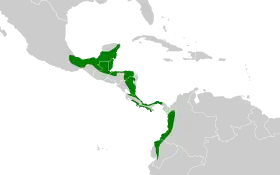 Distribución geográfica del saltarín cabecirrojo norteño.