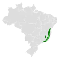 Distribución geográfica del hormiguero brasileño.