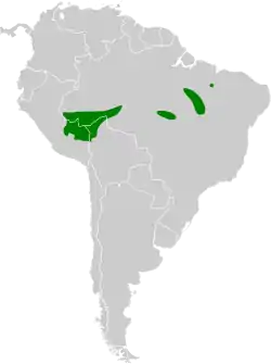 Distribución geográfica del hormiguero del Manu.