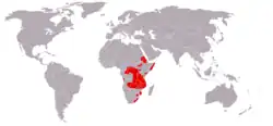 Distribución del cercopiteco de diadema