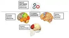 El Cerebro y la Mente forman un sistema de control, con sus 4 partes: Medición, Acción, Control y Referencia.