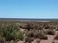 Vista de Laguna Negra. Cerro Policía