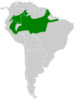 Distribución geográfica del trepatroncos gorgipunteado.