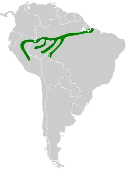 Distribución geográfica del curutié rojiblanco.