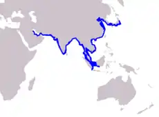 Distribución de la marsopa sin aleta