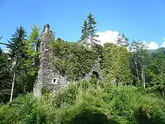 Castillo de La Sallaz.