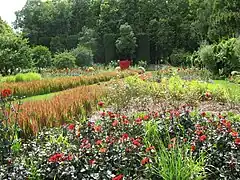 Plantas anuales de temporada.