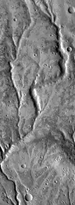 Los canales se acercan Warrego Valles, cuando vistos por THEMIS.  Estos branched los canales son evidencia fuerte  para fluir agua encima Marte, quizás durante un mucho periodo más tibio.