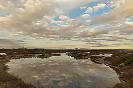 Charca en las salinas de San Pedro