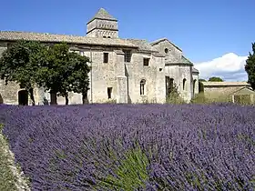 El Monasterio de Saint-remi-de-provence