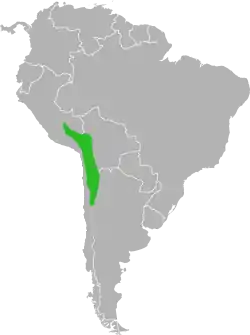 Rango de distribución pasado del Chinchilla chinchilla.