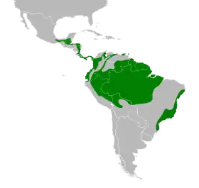 Distribución geográfica del mielero verde.