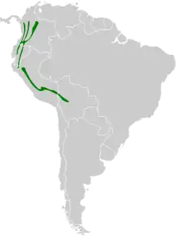 Distribución geográfica de la tangara lorito.