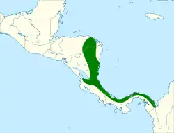Distribución geográfica de la tangara de Carmiol (excluyendo Chlorothraupis frenata)