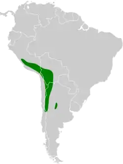 Distribución geográfica de la remolinera castaña.