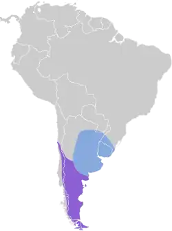 Distribución geográfica de la remolinera común.