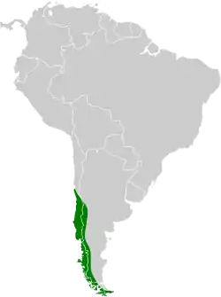 Distribución geográfica de la remolinera araucana.