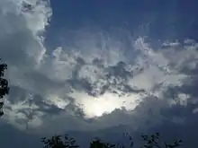 Una imagen que muestra los cirros saliendo del yunque de la tormenta eléctrica, tomada justo antes de que la masa inferior del cumulonimbo pasara por encima del fotógrafo