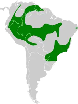 Distribución geográfica de la tangara urraca.