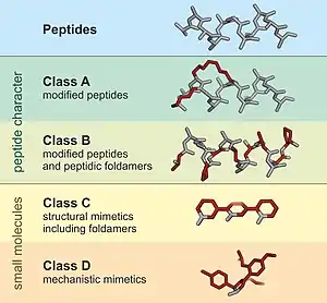 Four peptidomimetics classified (A – D), based on their similarity with the precursor peptide.