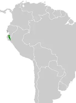 Distribución geográfica del ticotico cabecirufo occidental.