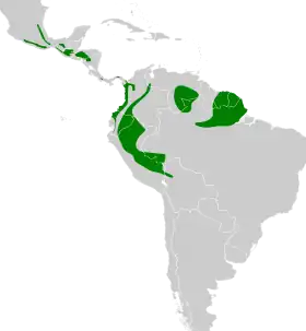 Distribución geográfica del ticotico castaño.