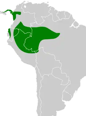 Distribución geográfica del mosquero pardo.