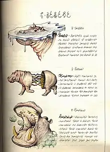 Codex Seraphinianus - animales