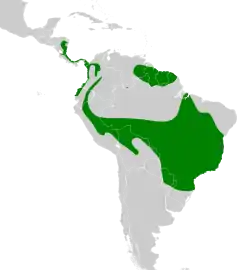 Distribución geográfica del mosquero colilargo.