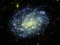 NGC 300 en el espectro visible (amarillo-rojo) y ultravioleta (Azul) tomada por el "Galaxy Evolution Explorer (GALEX)". Las estrellas jóvenes, azules y brillantes aparecen en color azul en los brazos espirales y las viejas, rojas y menos calientes en amarillo cercanas al núcleo galáctico.