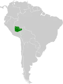 Distribución geográfica del cotinga carinegro.