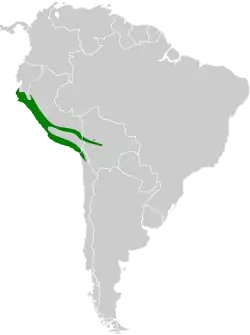 Distribución geográfica del conirrostro cinéreo (excluyendo C. c. fraseri).