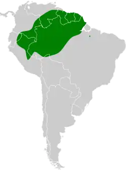 Distribución geográfica del bienteveo guayanés.