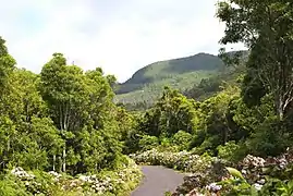 Contrafuertes de la Sierra de Santa Bárbara