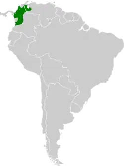 Distribución geográfica del saltarín gorgiblanco occidental.