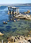 "Condominio" de cormoranes en la bahía de Monterey