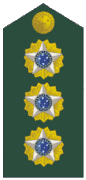 Insignia de coronel del Ejército Brasileño.