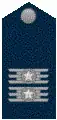 Insignia de coronel de la Fuerza Aérea Brasileña.